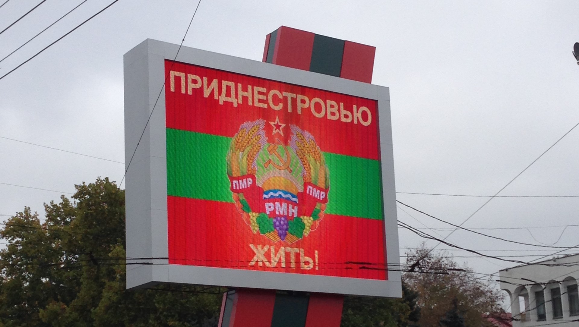 Кишинев готов на "особый статус" Приднестровья  - фото 1