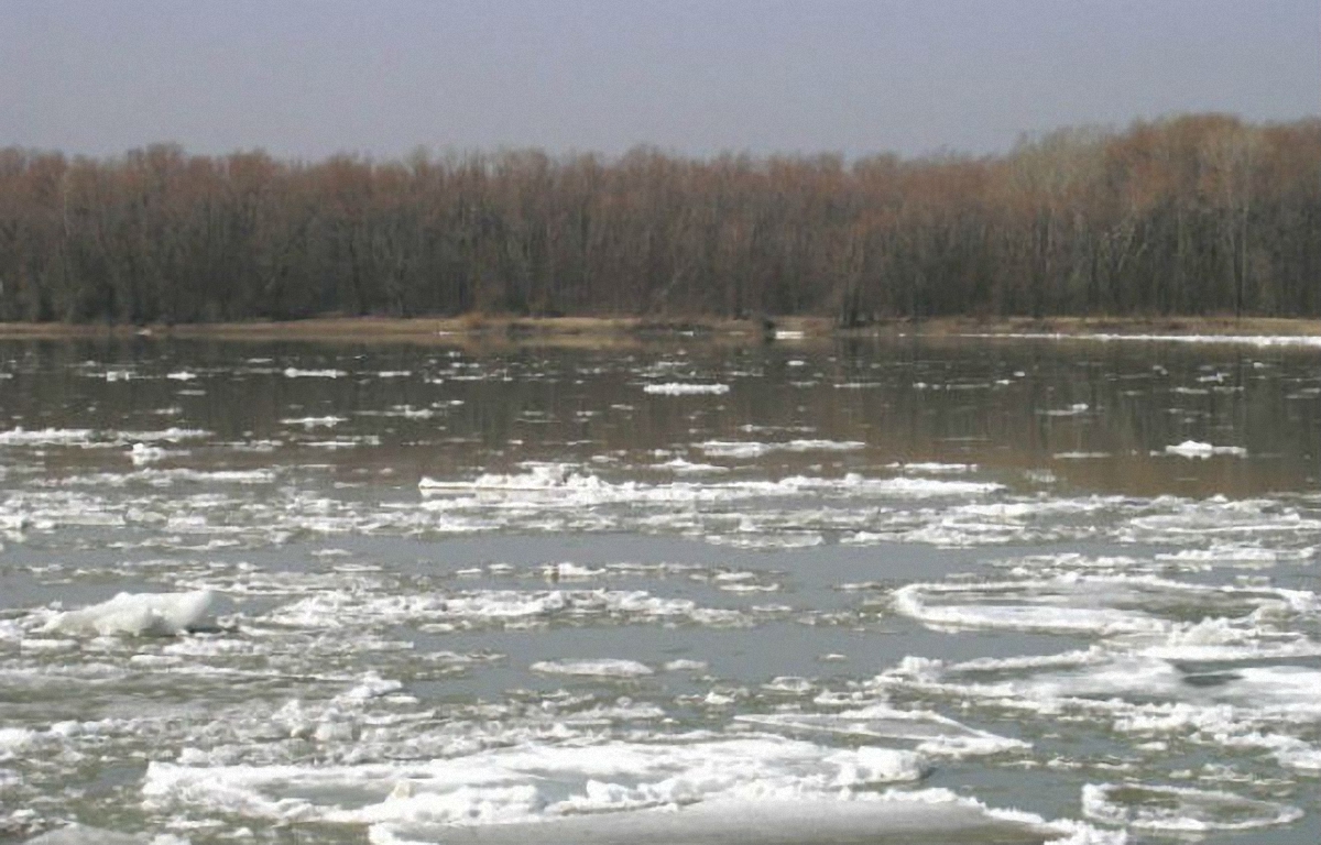 Наиболее напряженная паводковая ситуация ожидается в нижних течениях рек Закарпатья - фото 1