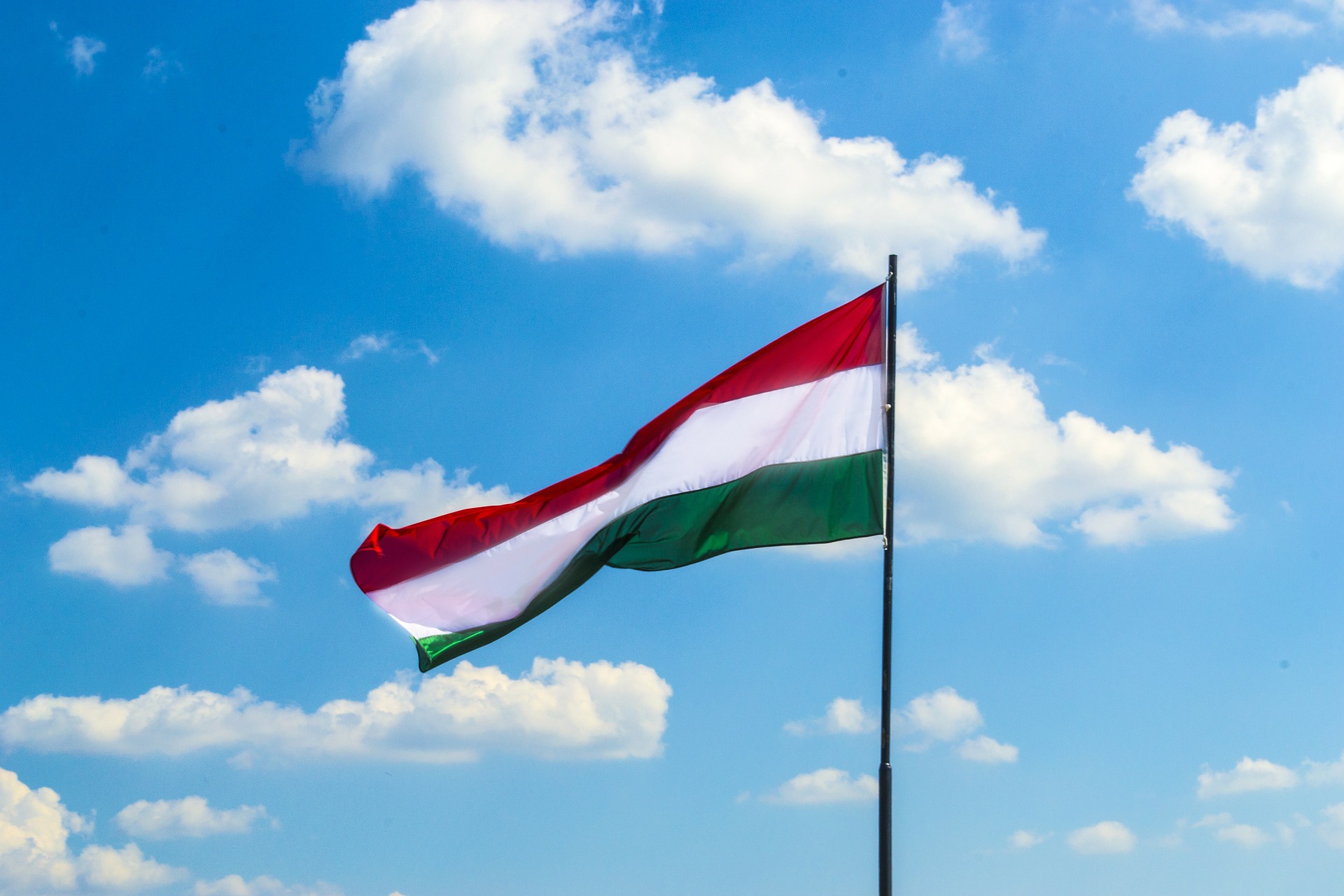 Венгрия выступает за появление ОБСЕ в Закарпатье - фото 1