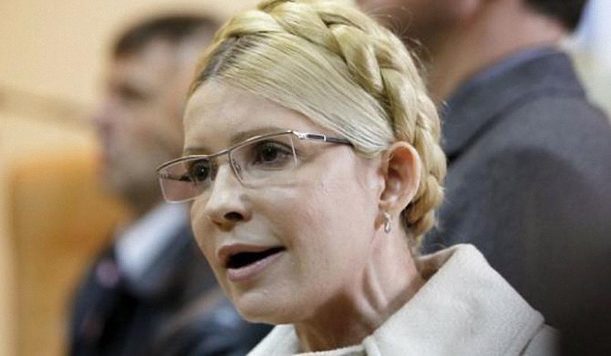 Юлия Тимошенко "забыла" о бизнесе мужа - фото 1