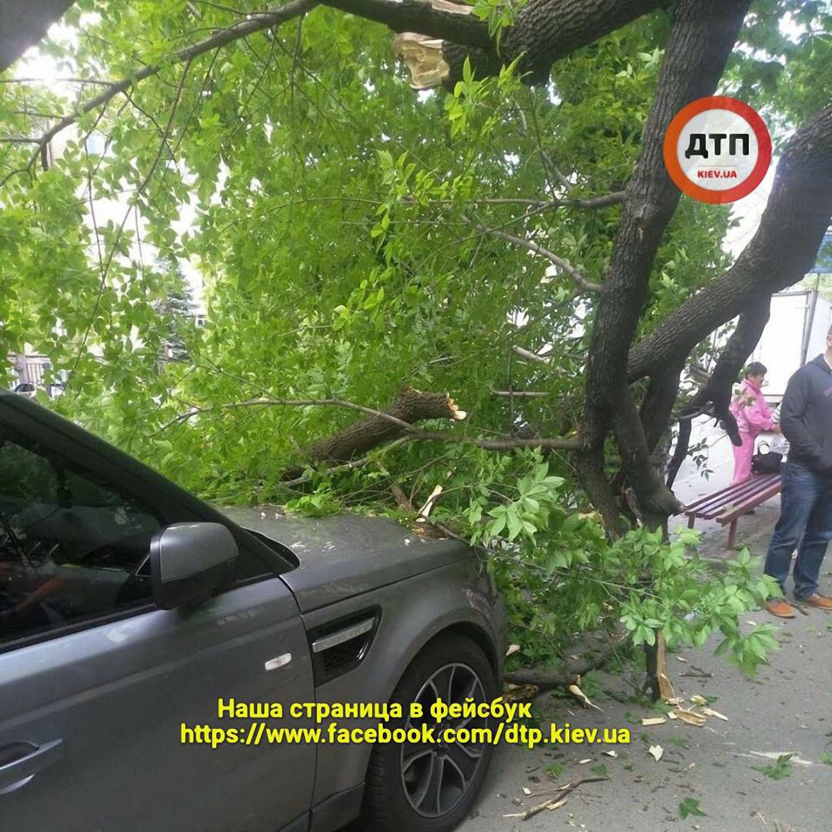 В Киеве дерево упало на Range Rover - фото 1