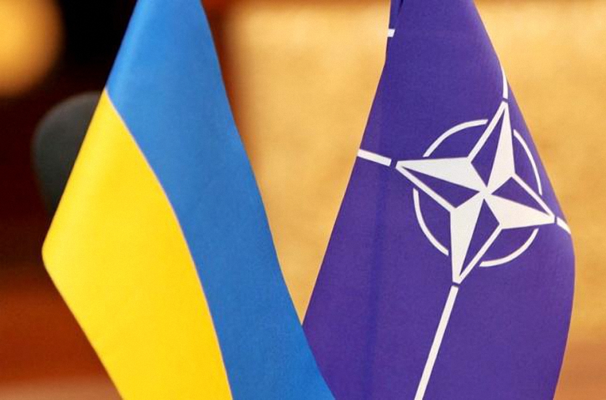 Представители Украины и НАТО обсудили конкретные шаги реформ - фото 1
