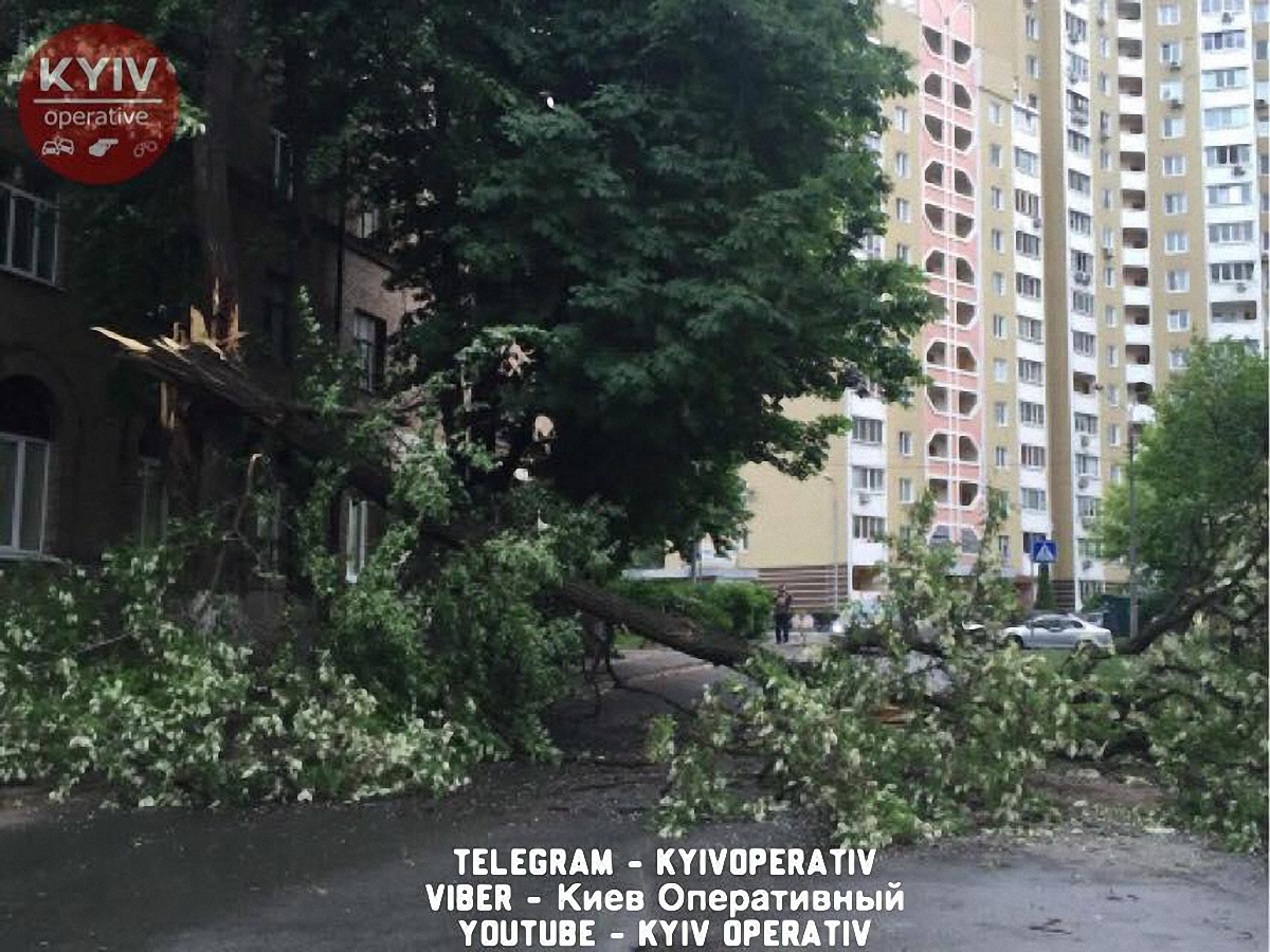 Шторм в Киеве и Киевской области валит деревья на дороги - фото 1