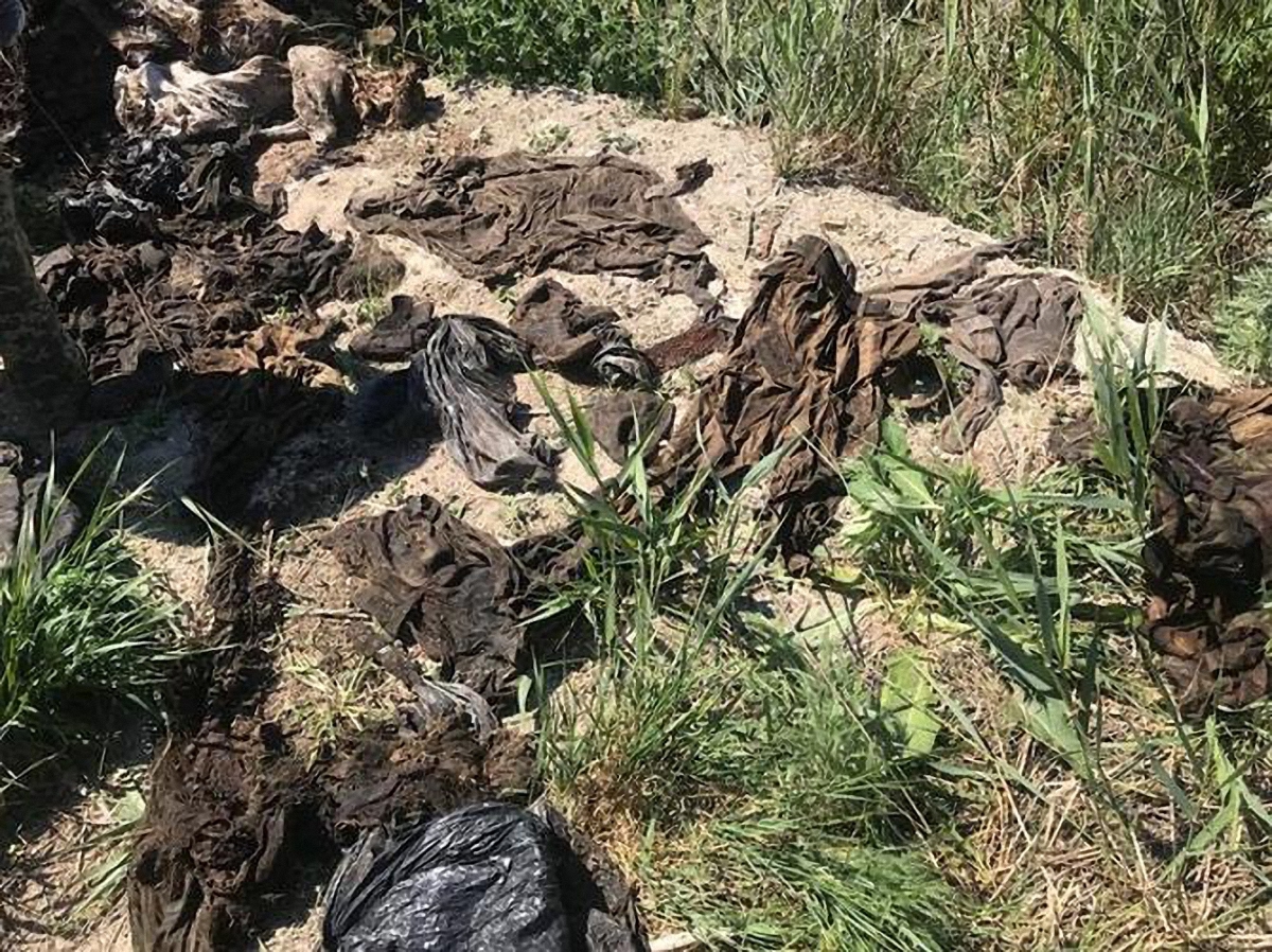 В Днепропетровской области нашли останки десятков погибших под Иловайском - фото 1
