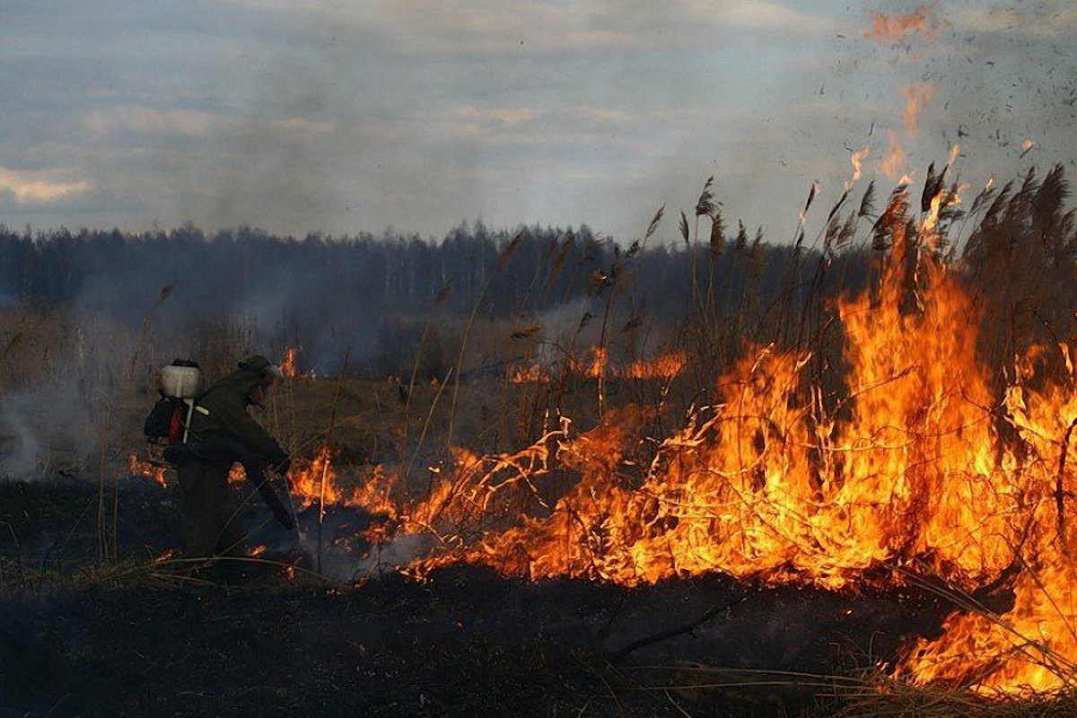  причиной масштабных пожаров в лесах, на торфяниках и свалках обычно является человеческое легкомыслие - фото 1