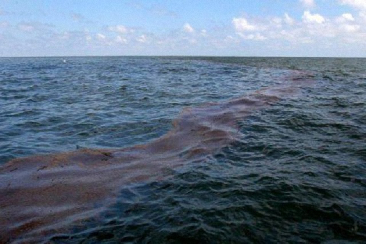Украина начнет поиски нефти и газа в Черном море - фото 1