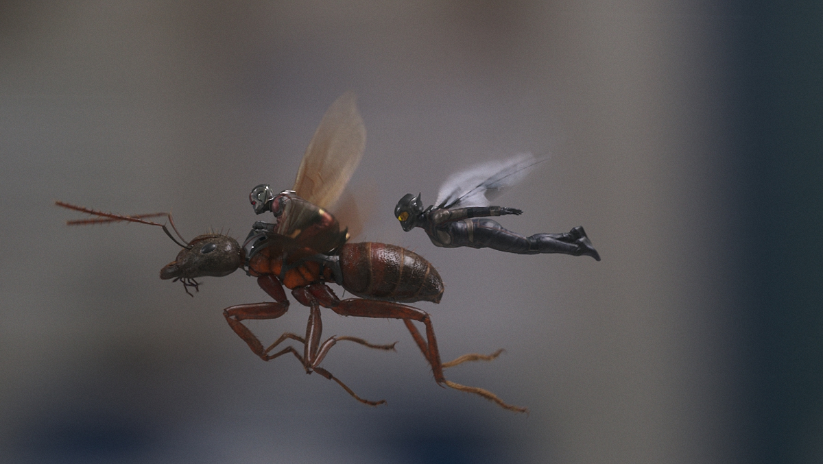 Человек-муравей и Оса: Летать так летать - фото 1