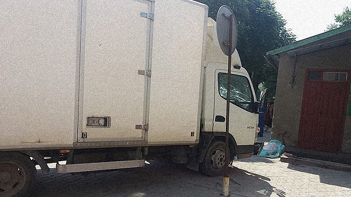 В Тернопольской области водитель потерял сознание и убил 8-летнюю девочку - фото 1