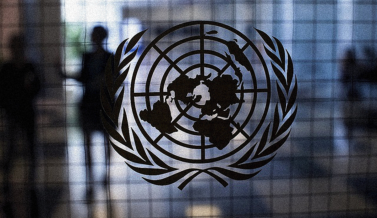 В ООН призвали к расследованию нападений на активистов в Украине - фото 1