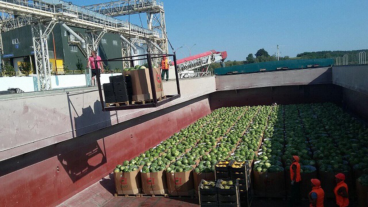 В Киев сегодня привезут тонны арбузов - фото 1