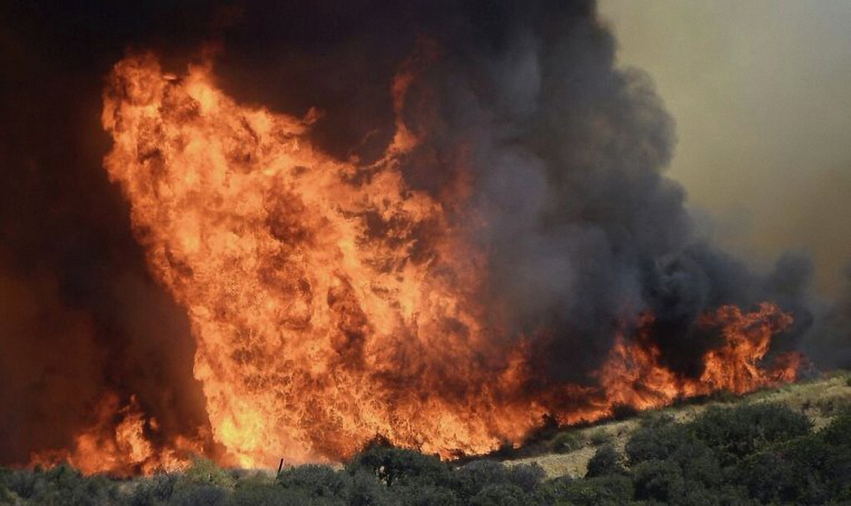 Лесные пожары, которые унесли много жизней  - фото 1