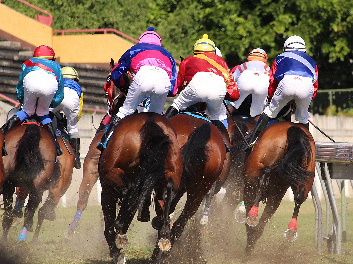 Даже обещание проводить конные соревнования не помогли украинскому нардепу в получении гражданства - фото 1