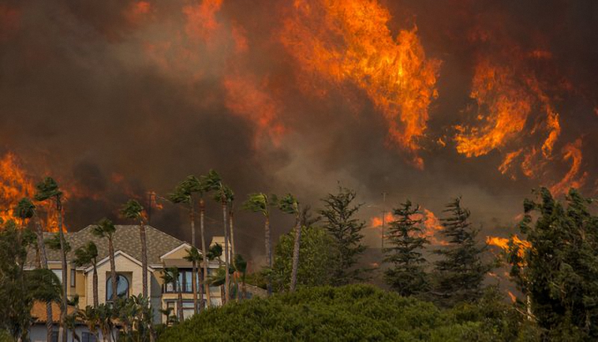 Количество жертв стихии в Калифорнии возросло до 44 человек - фото 1