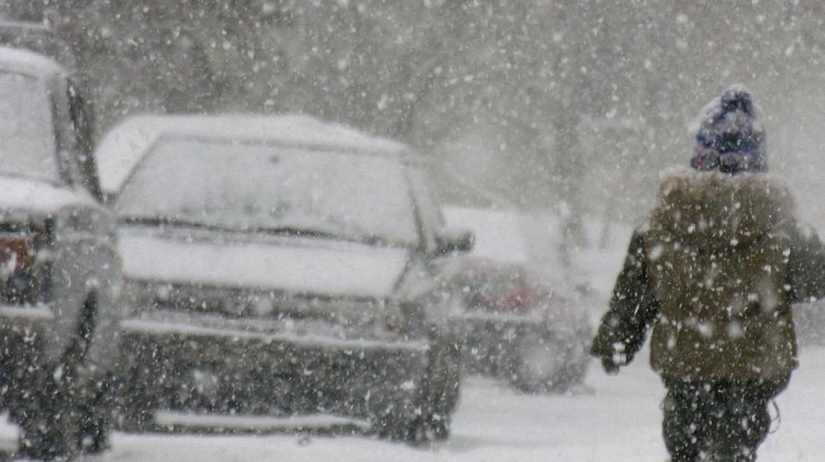 Снегопад и метель: погода на 11-15 декабря - фото 1