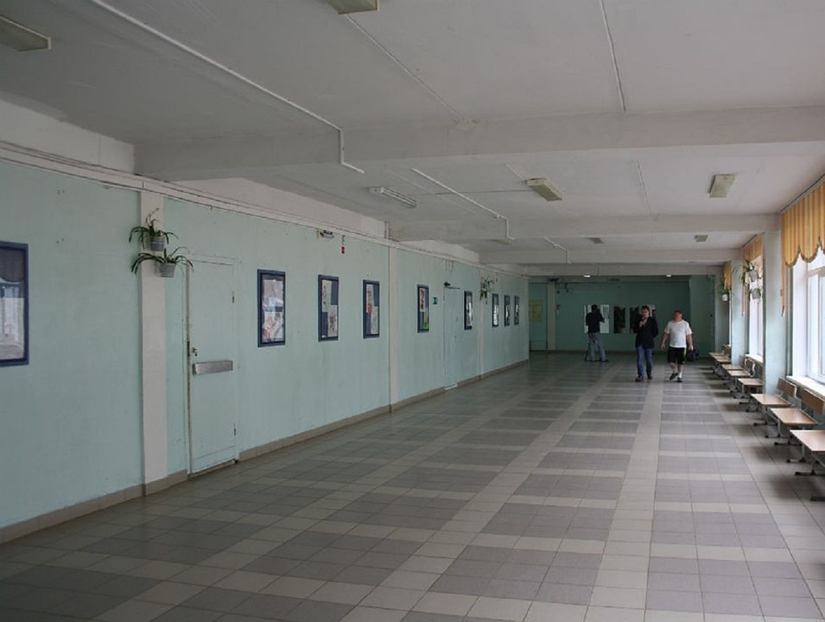 Эпидемия гриппа: в Николаеве начали закрывать школы - фото 1