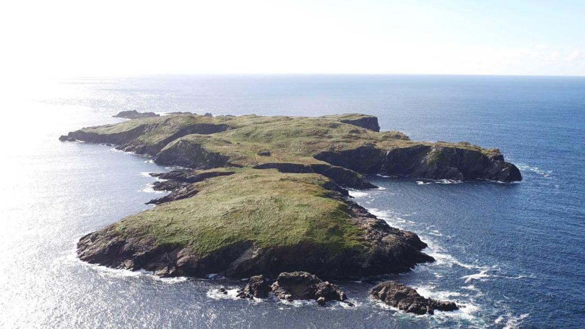 В Ирландии продают необитаемый остров за $1,4 млн - фото 1