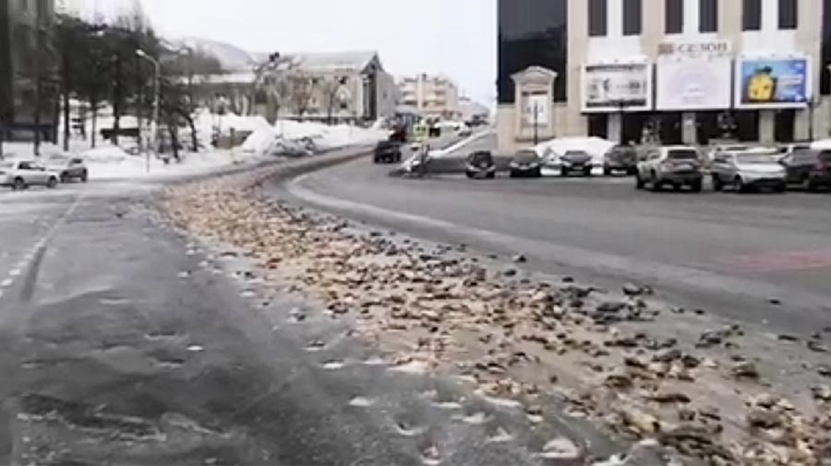 В России на дорогу выбросили тонны рыбных отходов - фото 1
