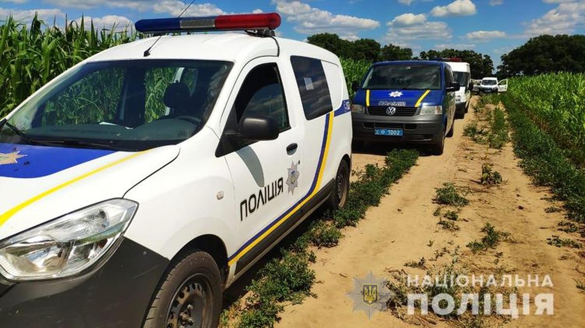 Полиция обнаружила тела двух убитых женщин на соседних кукурузных полях - фото 1