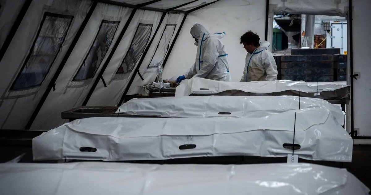 Повернення полеглих героїв: Україна репатріювала понад 26 тисяч тіл загиблих воїнів - фото 1