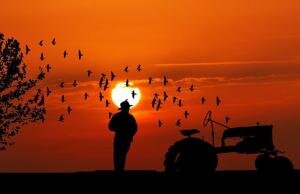 Український агробізнес під час воєнного стану