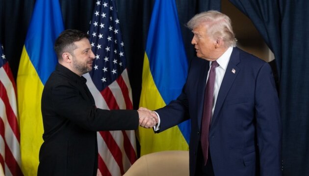 Володимир Зеленський під час офіційної зустрічі