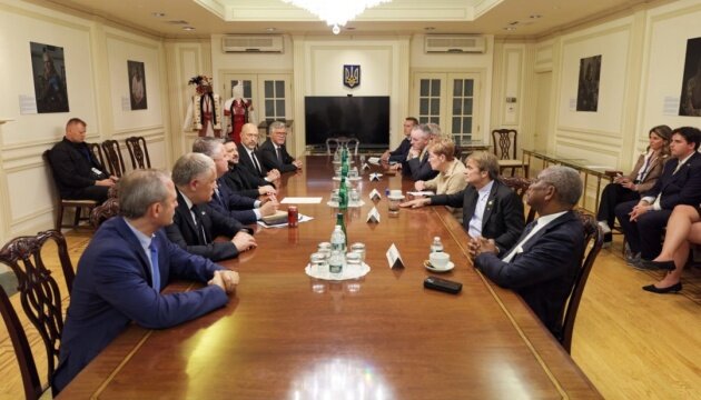 Володимир Зеленський під час офіційної зустрічі